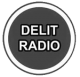NB_logo-delit-radio2
