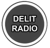 NB_logo-delit-radio2